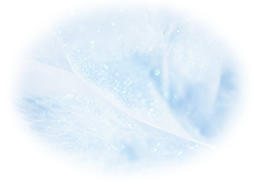 個人セラピー (来談者)